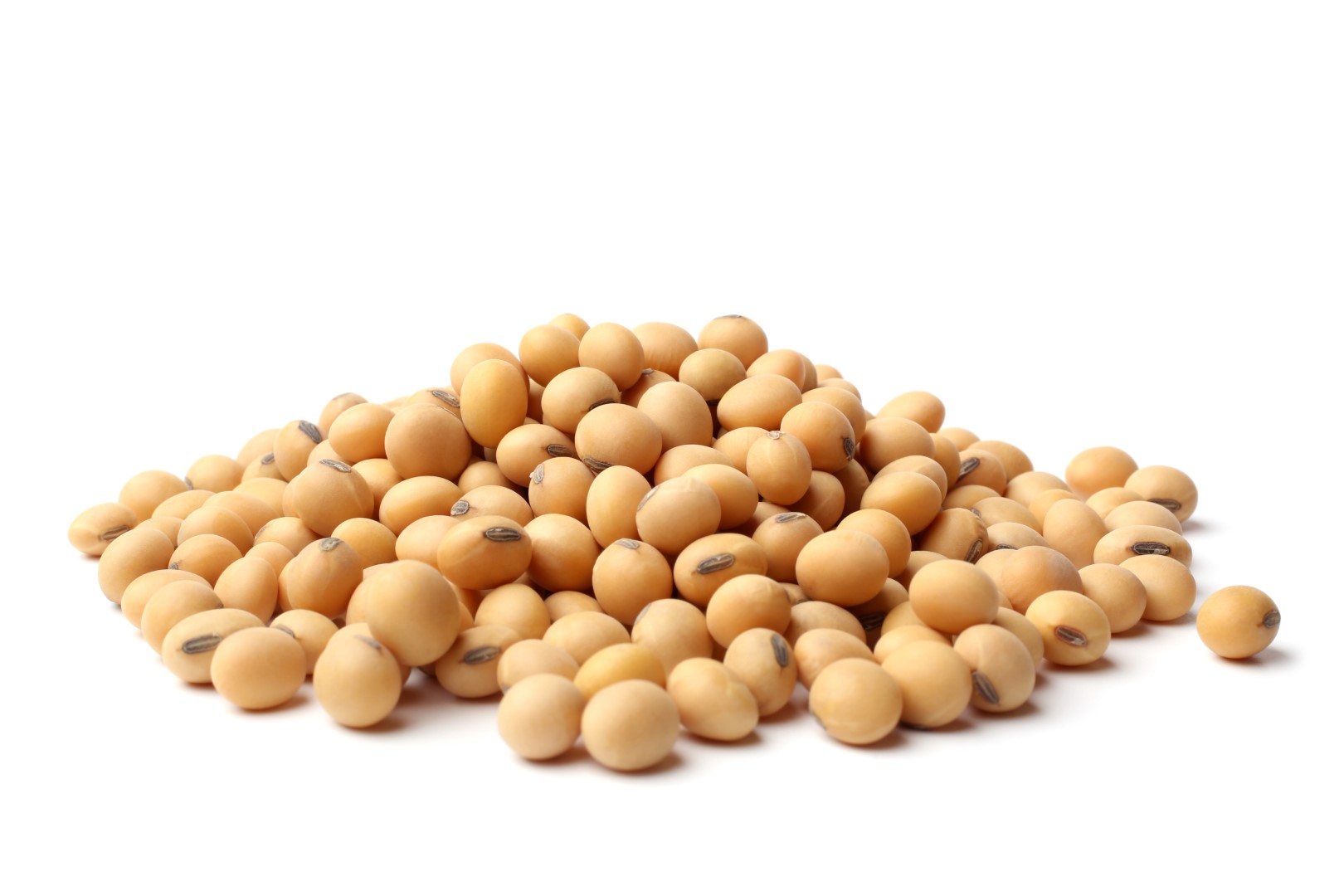 Feedstuff Soybeans